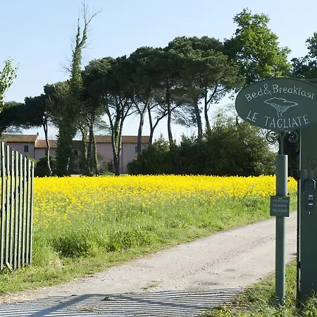 Bed & Breakfast B&B Le Tagliate *