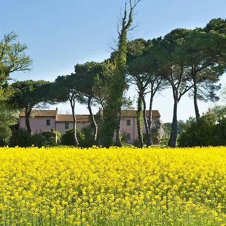 Bed & Breakfast B&B Le Tagliate *